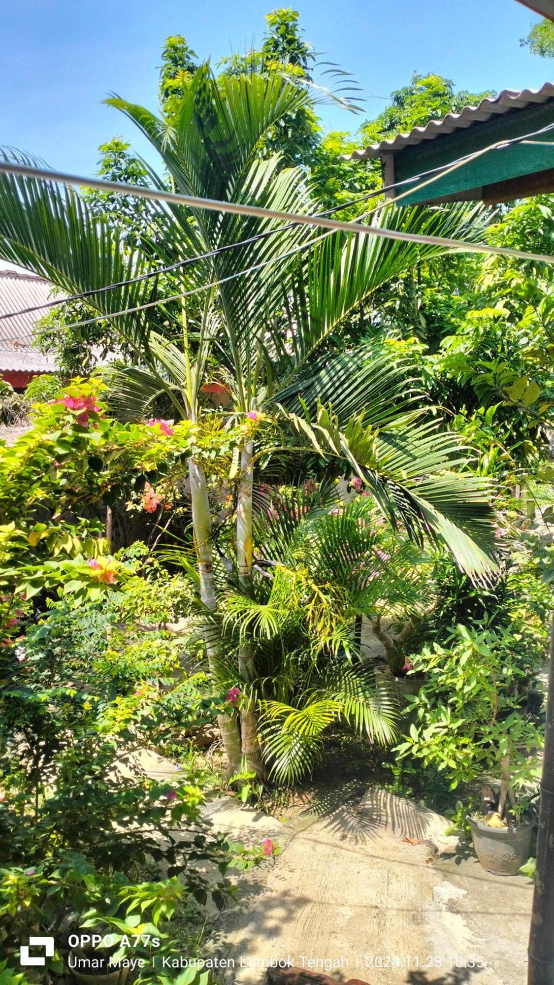 Nadil Homestay Kuta  Екстериор снимка